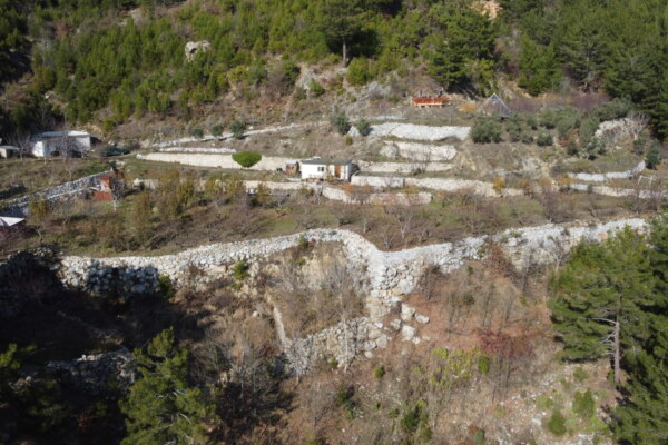 Satılık Alanya Bademağacı 6.5 dönüm malikane alanı